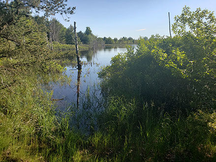 HIDDEN POND